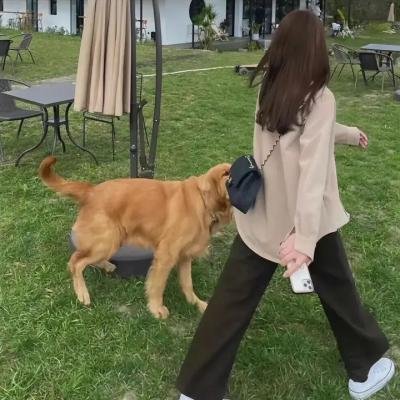 功能失常的猫海报